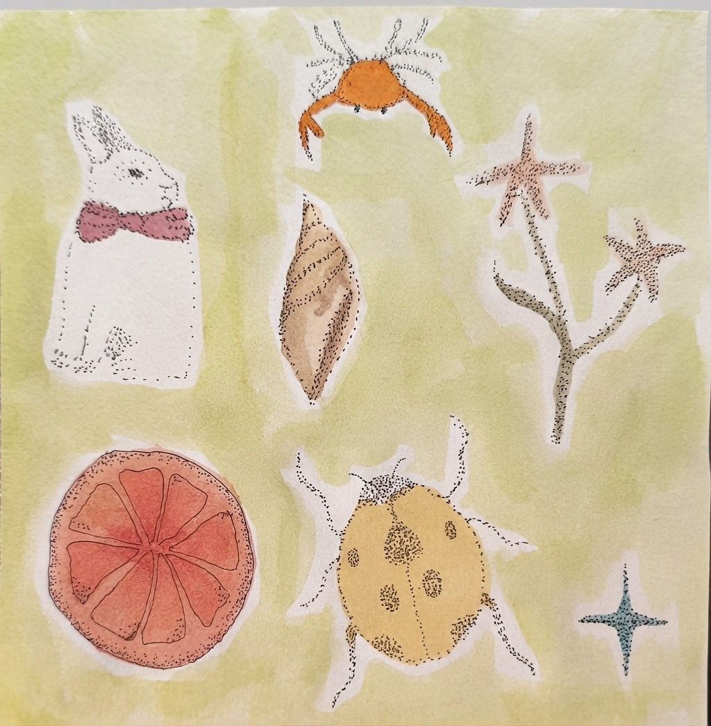 Ilustraciones de un conejo, un cangrejo, un caracol, estrellas de mar y una vaquita de San Antonio